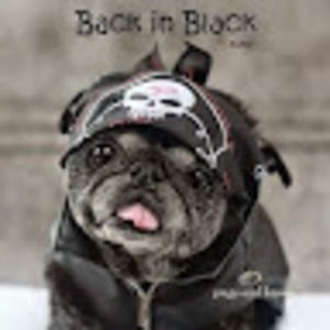 Meet your Posher, Coreen